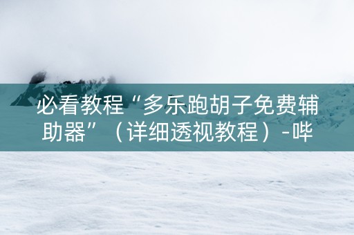 必看教程“多乐跑胡子免费辅助器”（详细透视教程）-哔哩哔哩