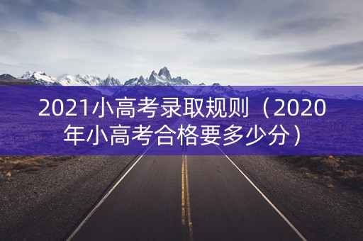 2021小高考录取规则（2020年小高考合格要多少分）