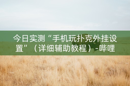 今日实测“手机玩扑克外挂设置”（详细辅助教程）-哔哩哔哩
