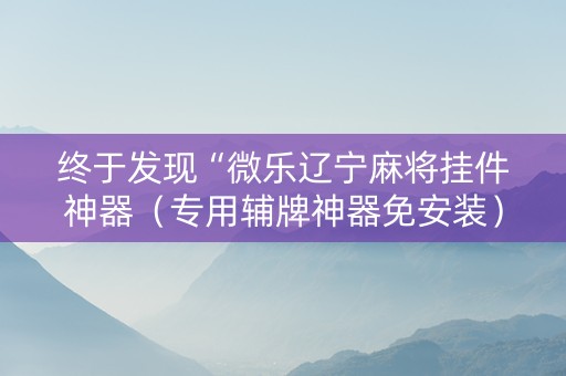 终于发现“微乐辽宁麻将挂件神器（专用辅牌神器免安装）