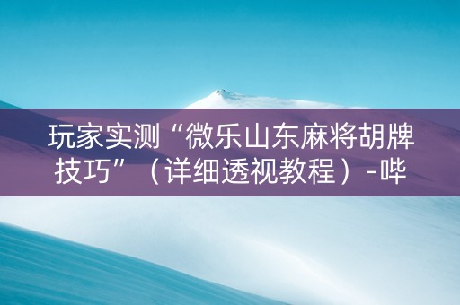玩家实测“微乐山东麻将胡牌技巧”（详细透视教程）-哔哩哔哩