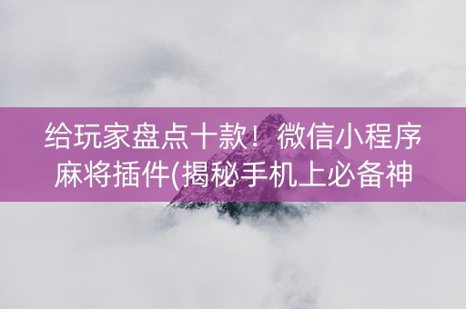 给玩家盘点十款！微信小程序麻将插件(揭秘手机上必备神器)
