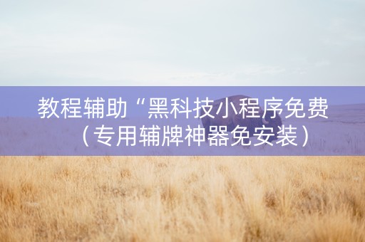 教程辅助“黑科技小程序免费（专用辅牌神器免安装）