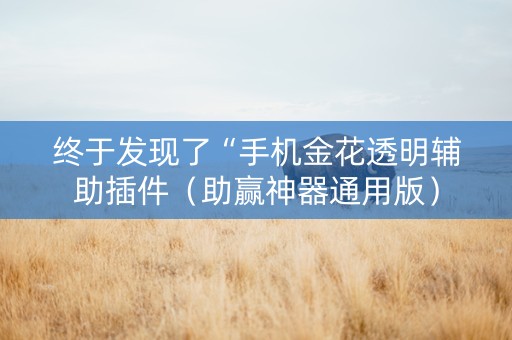 终于发现了“手机金花透明辅助插件（助赢神器通用版）