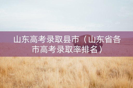 山东高考录取县市（山东省各市高考录取率排名）