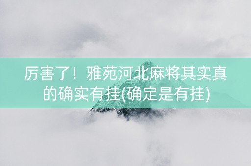 厉害了！雅苑河北麻将其实真的确实有挂(确定是有挂)
