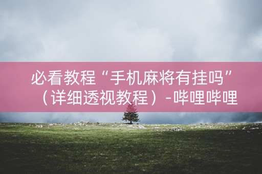 必看教程“手机麻将有挂吗”（详细透视教程）-哔哩哔哩