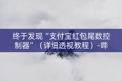终于发现“支付宝红包尾数控制器”（详细透视教程）-哔哩哔哩