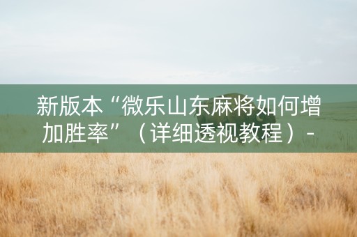 新版本“微乐山东麻将如何增加胜率”（详细透视教程）-哔哩哔哩
