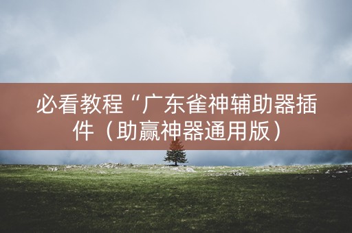 必看教程“广东雀神辅助器插件（助赢神器通用版）