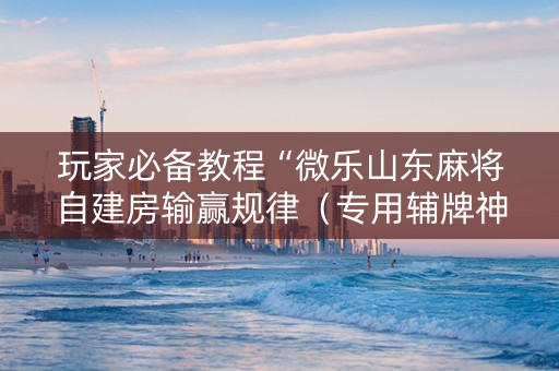 玩家必备教程“微乐山东麻将自建房输赢规律（专用辅牌神器免安装）