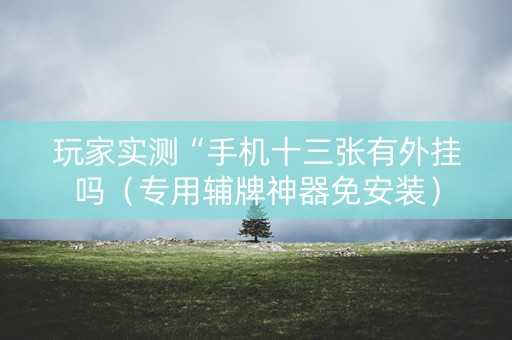 玩家实测“手机十三张有外挂吗（专用辅牌神器免安装）