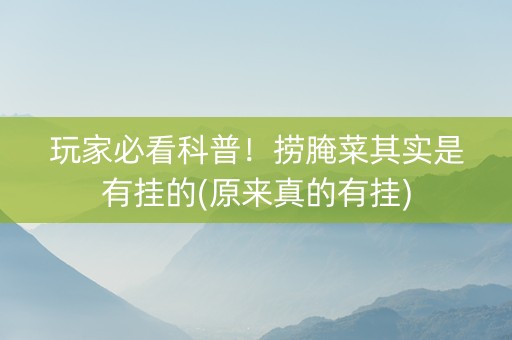 玩家必看科普！捞腌菜其实是有挂的(原来真的有挂)