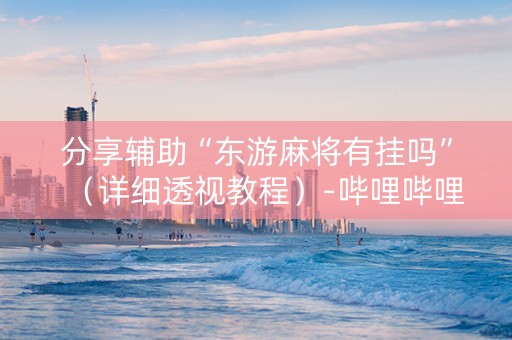 分享辅助“东游麻将有挂吗”（详细透视教程）-哔哩哔哩