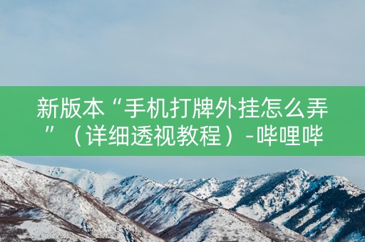 新版本“手机打牌外挂怎么弄”（详细透视教程）-哔哩哔哩