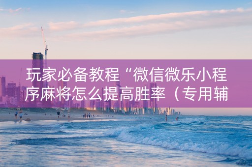 玩家必备教程“微信微乐小程序麻将怎么提高胜率（专用辅牌神器免安装）
