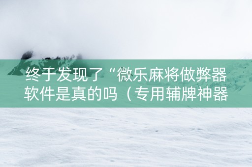 终于发现了“微乐麻将做弊器软件是真的吗（专用辅牌神器免安装）