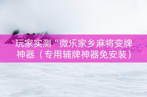 玩家实测“微乐家乡麻将变牌神器（专用辅牌神器免安装）