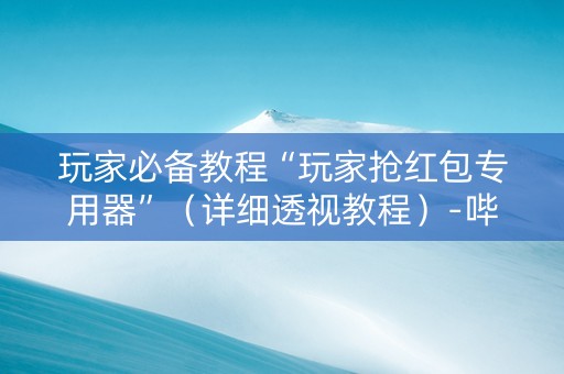 玩家必备教程“玩家抢红包专用器”（详细透视教程）-哔哩哔哩
