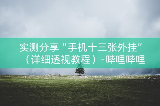 实测分享“手机十三张外挂”（详细透视教程）-哔哩哔哩