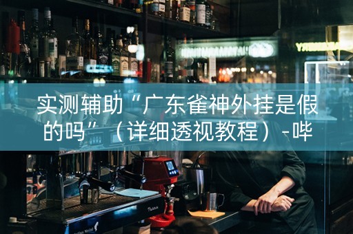 实测辅助“广东雀神外挂是假的吗”（详细透视教程）-哔哩哔哩