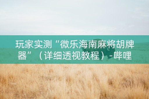 玩家实测“微乐海南麻将胡牌器”（详细透视教程）-哔哩哔哩