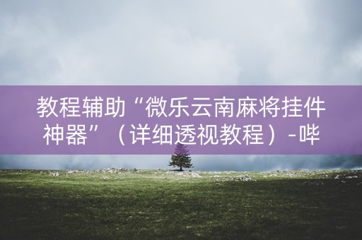 教程辅助“微乐云南麻将挂件神器”（详细透视教程）-哔哩哔哩