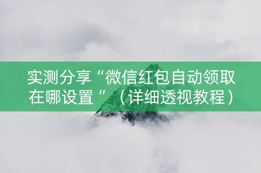 实测分享“微信红包自动领取在哪设置 ”（详细透视教程）-哔哩哔哩