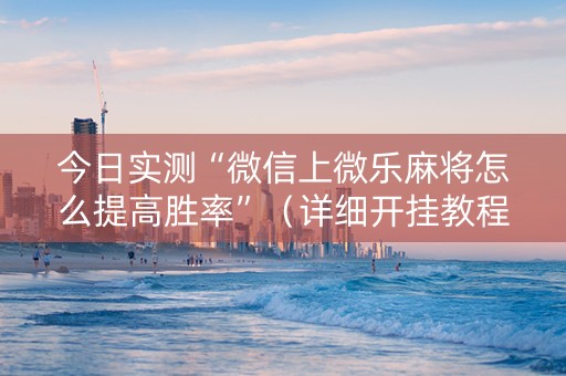 今日实测“微信上微乐麻将怎么提高胜率”（详细开挂教程）-哔哩哔哩