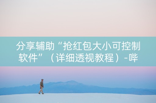 分享辅助“抢红包大小可控制软件”（详细透视教程）-哔哩哔哩