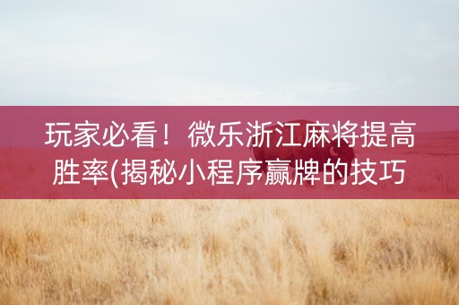 玩家必看！微乐浙江麻将提高胜率(揭秘小程序赢牌的技巧)