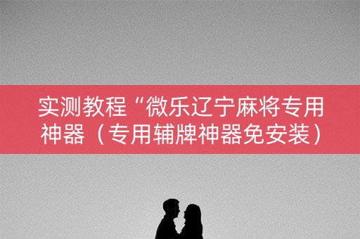 实测教程“微乐辽宁麻将专用神器（专用辅牌神器免安装）