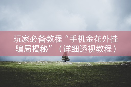 玩家必备教程“手机金花外挂骗局揭秘”（详细透视教程）-哔哩哔哩