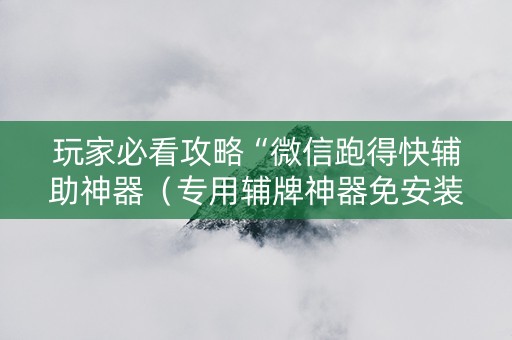 玩家必看攻略“微信跑得快辅助神器（专用辅牌神器免安装）
