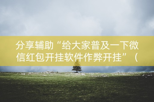 分享辅助“给大家普及一下微信红包开挂软件作弊开挂”（详细透视教程）-哔哩哔哩