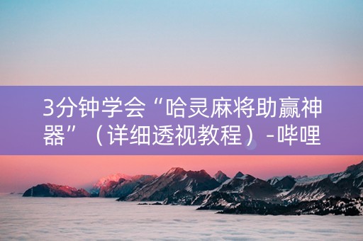 3分钟学会“哈灵麻将助赢神器”（详细透视教程）-哔哩哔哩