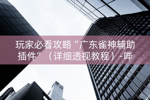 玩家必看攻略“广东雀神辅助插件”（详细透视教程）-哔哩哔哩