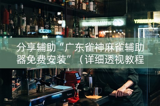 分享辅助“广东雀神麻雀辅助器免费安装”（详细透视教程）-哔哩哔哩