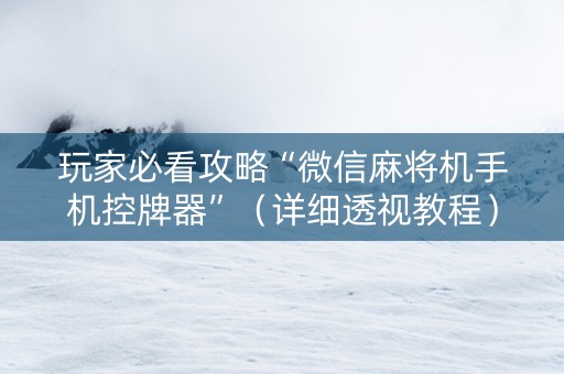 玩家必看攻略“微信麻将机手机控牌器”（详细透视教程）-哔哩哔哩