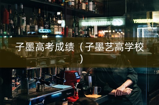 子墨高考成绩（子墨艺高学校）