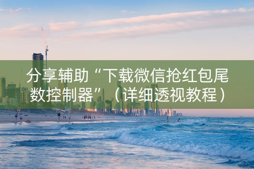 分享辅助“下载微信抢红包尾数控制器”（详细透视教程）-哔哩哔哩