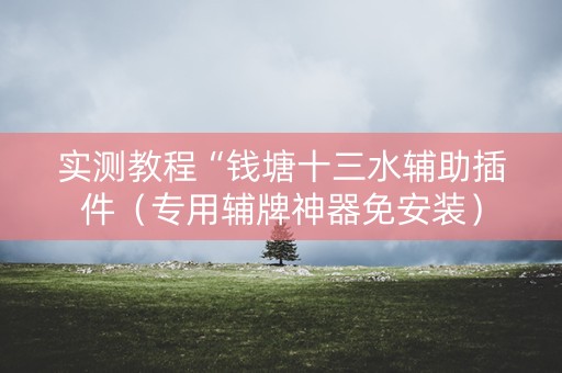 实测教程“钱塘十三水辅助插件（专用辅牌神器免安装）