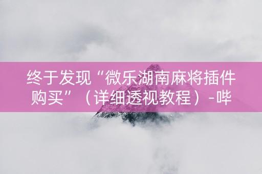 终于发现“微乐湖南麻将插件购买”（详细透视教程）-哔哩哔哩