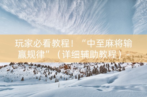 玩家必看教程！“中至麻将输赢规律”（详细辅助教程）-哔哩哔哩