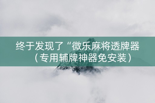 终于发现了“微乐麻将透牌器（专用辅牌神器免安装）