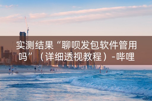 实测结果“聊呗发包软件管用吗”（详细透视教程）-哔哩哔哩