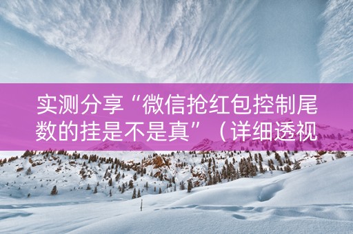 实测分享“微信抢红包控制尾数的挂是不是真”（详细透视教程）-哔哩哔哩