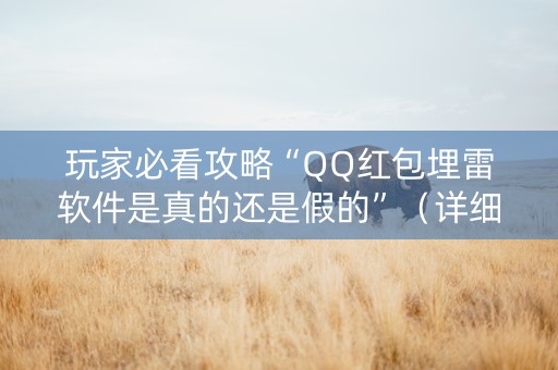 玩家必看攻略“QQ红包埋雷软件是真的还是假的”（详细透视教程）-哔哩哔哩