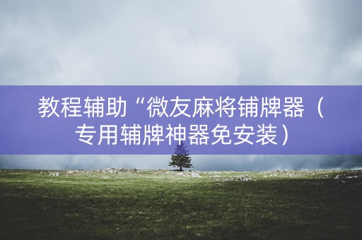 教程辅助“微友麻将铺牌器（专用辅牌神器免安装）