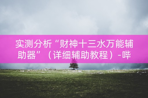 实测分析“财神十三水万能辅助器”（详细辅助教程）-哔哩哔哩